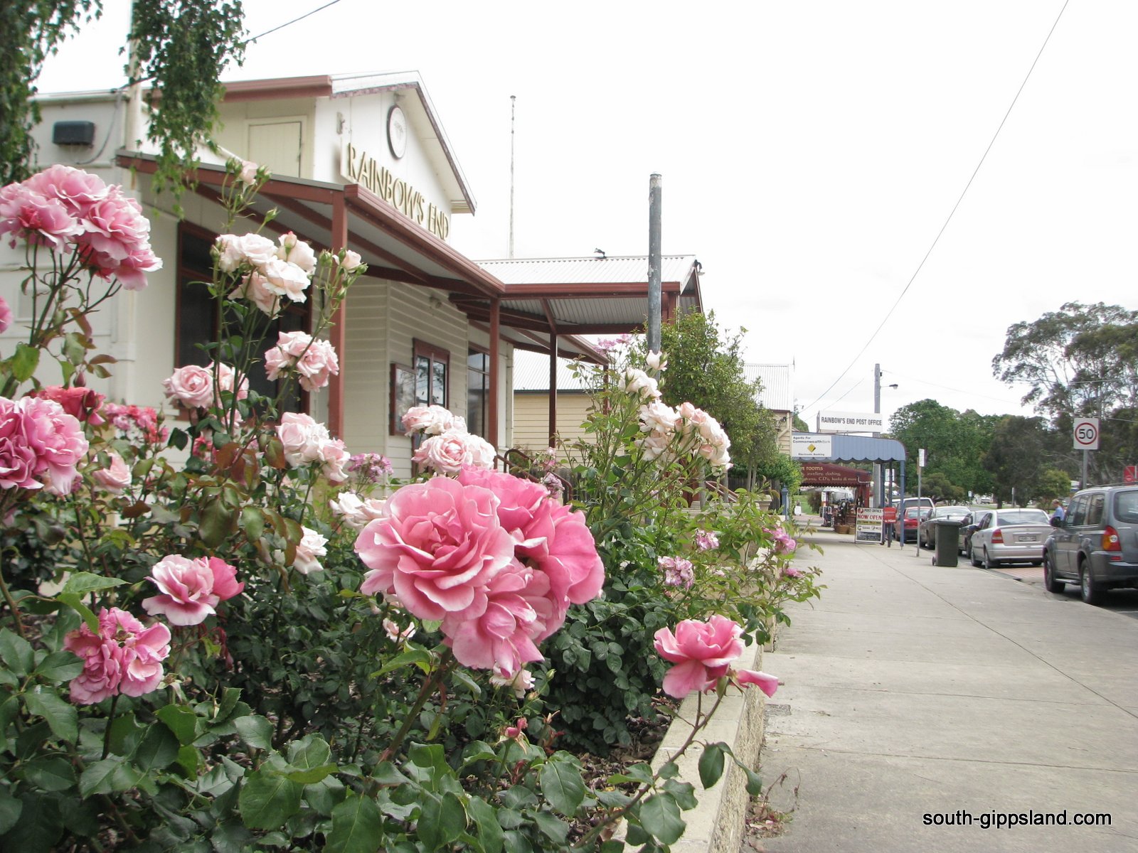 Bed Of Roses ABC TV South Gippsland Victoria Australia