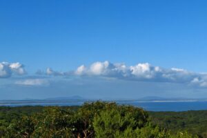 overlooking Cape-Liptrap-Coastal-Park