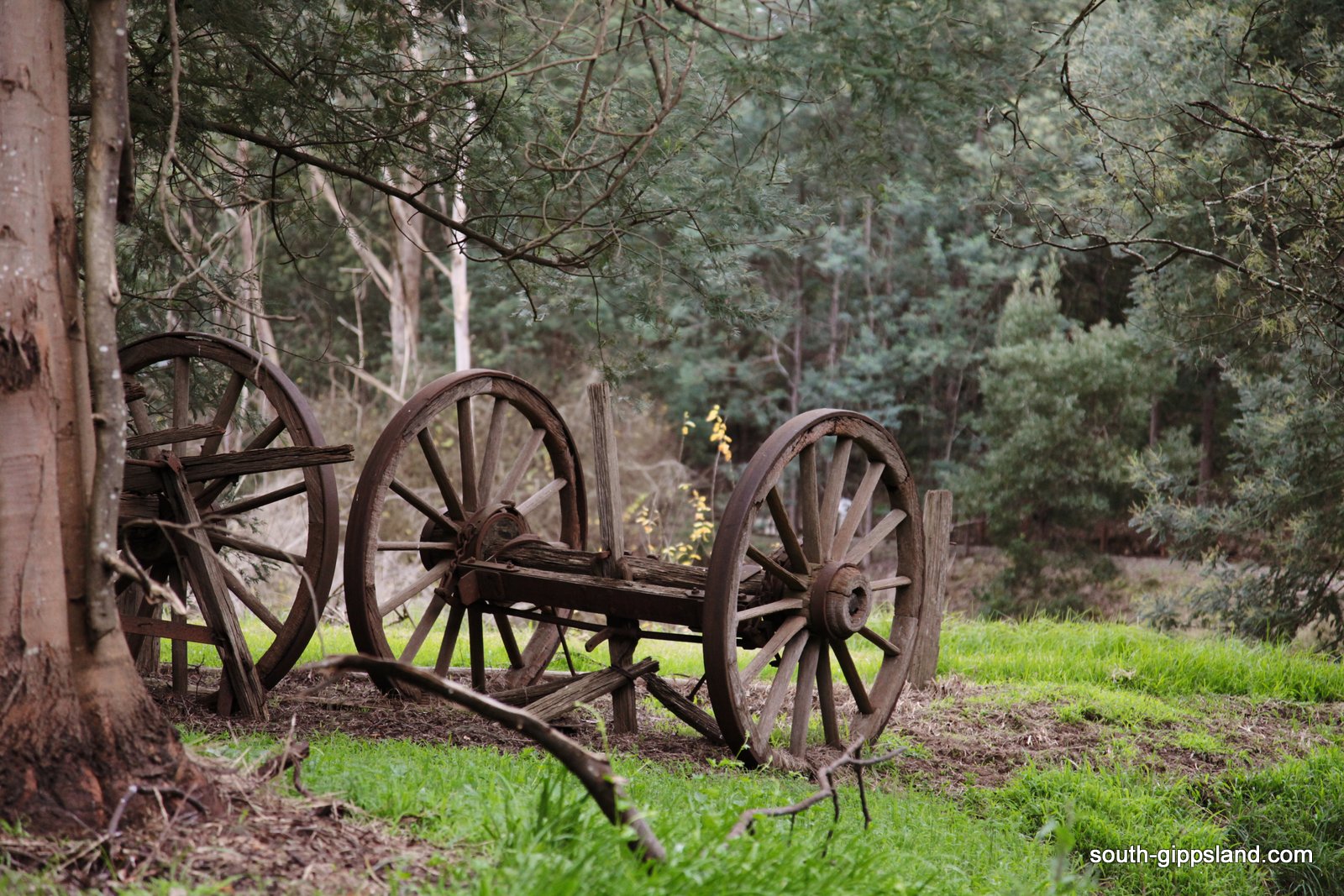 CoalCreekHistoricalVillage (29) South Gippsland Victoria Australia