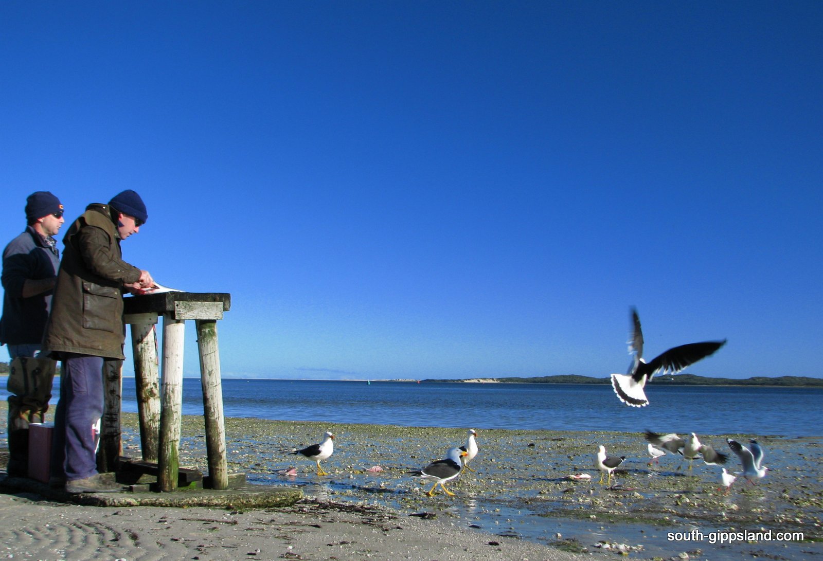 Shallow Inlet South Gippsland Victoria Australia